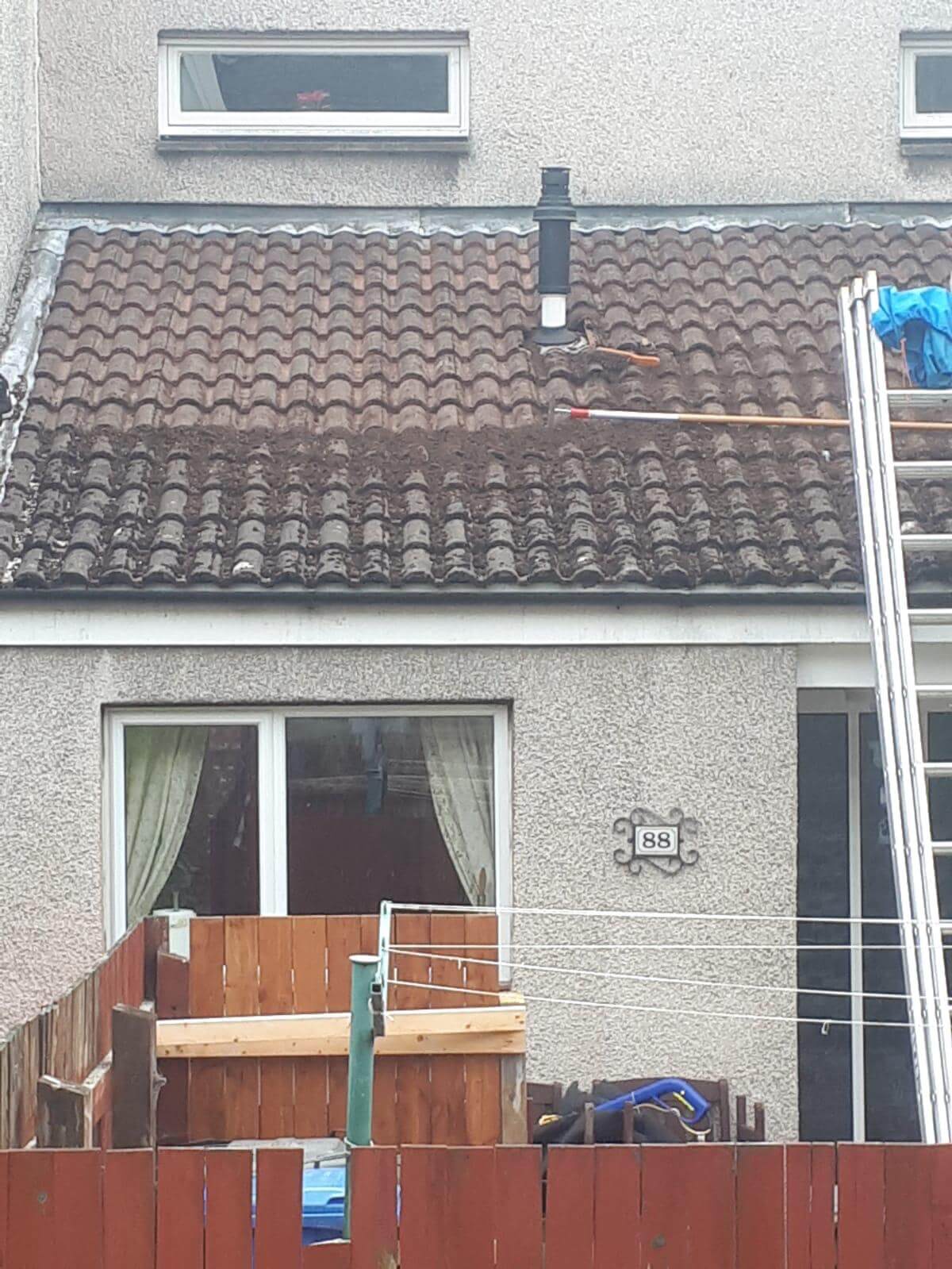 Moss Removal from Exterior Cleaning Services Ltd