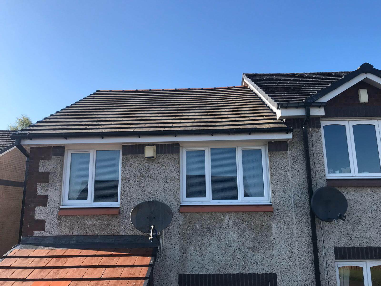 Moss Removal from Exterior Cleaning Services Ltd