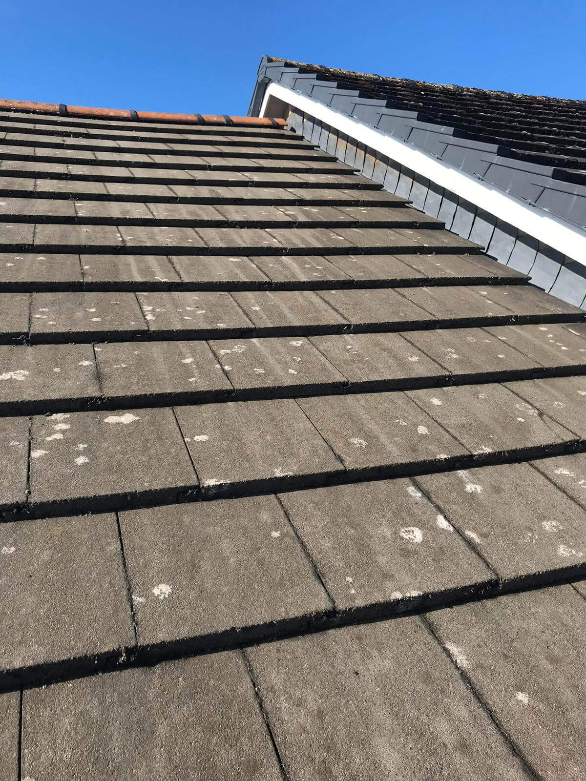 Moss Removal from Exterior Cleaning Services Ltd