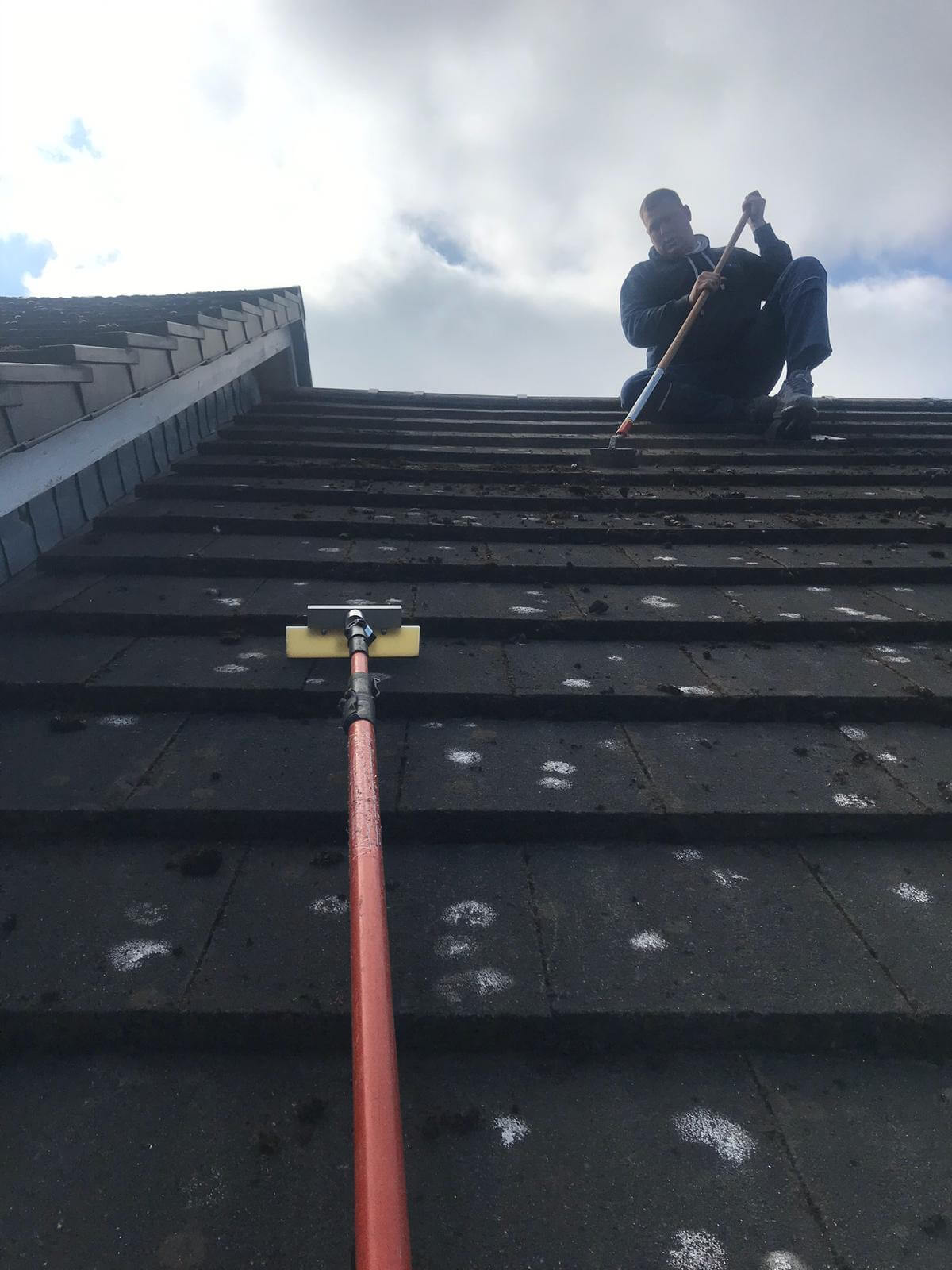 Moss Removal from Exterior Cleaning Services Ltd