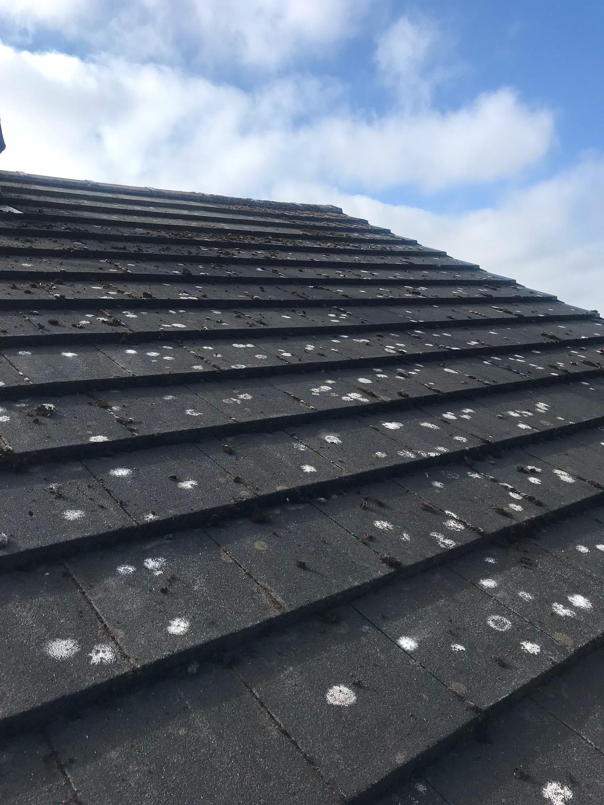 Roof Cleaning Services fromn Exterior Cleaning Services Ltd in Dunfermline