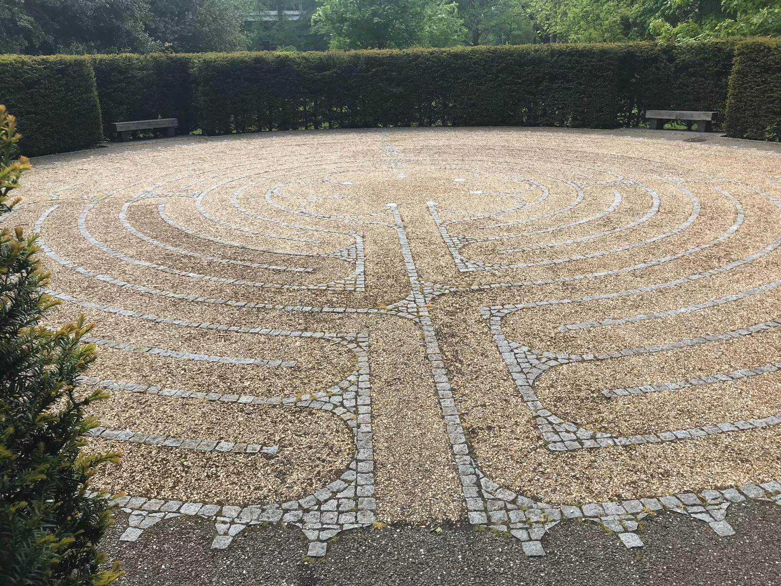 Render & Roughcast Soft Washing from Exterior Cleaning Services Ltd in Edinburgh